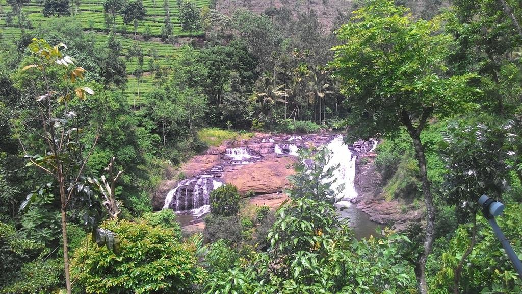 Ferndale Homestay Thekkady Exterior foto